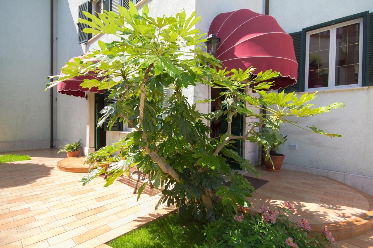 Villa Sveta Eufemija Bed End Breakfast I Rovinj Eksteriør bilde