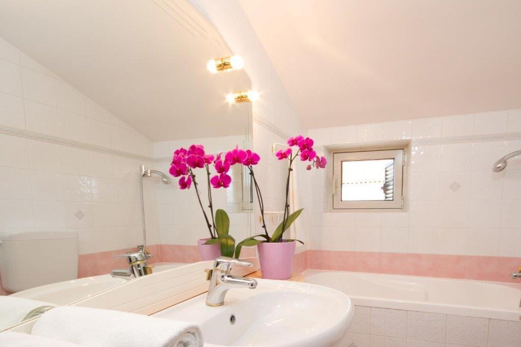 Villa Sveta Eufemija Bed End Breakfast I Rovinj Eksteriør bilde