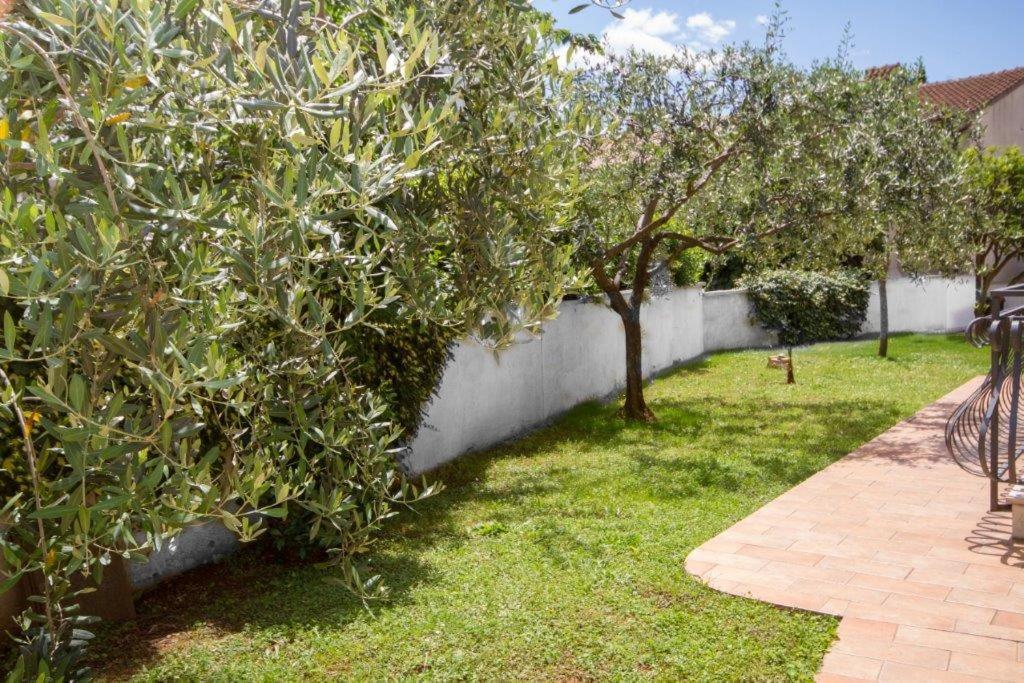 Villa Sveta Eufemija Bed End Breakfast I Rovinj Eksteriør bilde