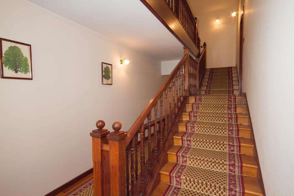Villa Sveta Eufemija Bed End Breakfast I Rovinj Eksteriør bilde